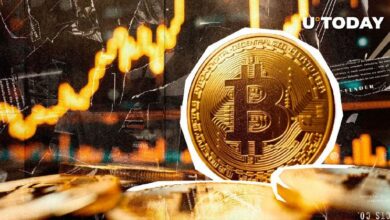 12 Años Después: ¡Primeros Inversores en Bitcoin (BTC) Descubren un Tesoro! - Cripto Boom