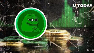 Volumen de PEPE se Dispara un 51%, ¡Descubre el Truco! - Cripto Boom