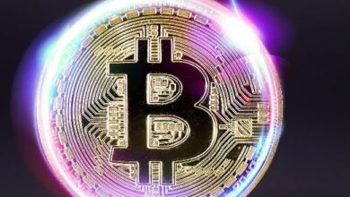 Los Fundamentos de la Red de Bitcoin se Vuelven Alcistas—¡Descubre Todos los Detalles! - Cripto Boom