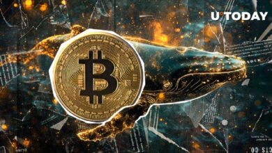 a929273d76601be84d21 1.97 Millones de BTC en Manos de Nuevas Ballenas de Bitcoin: Descubre los Detalles