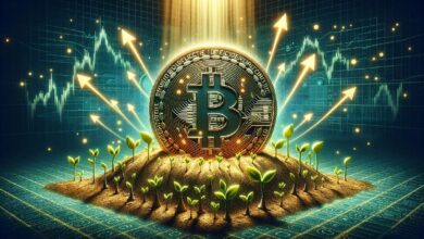 Precio de Bitcoin Preparado para Más Aumento: ¿Seguirá Subiendo? Descúbrelo Aquí. - Cripto Boom