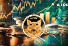 ¡Detectan una Muralla de Venta de 88.9 Trillones de Shiba Inu (SHIB)! ¿Es Algo Negativo? - Cripto Boom