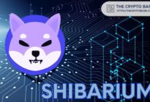 Shibarium de Shiba Inu Estrena Función de Puente NFT: ¡Descúbrela Ahora! - Cripto Boom