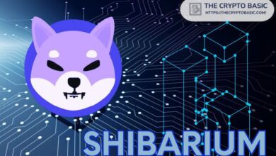 Shibarium de Shiba Inu Estrena Función de Puente NFT: ¡Descúbrela Ahora! - Cripto Boom