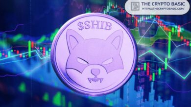 ae4bdb54872b24d4357d Analista Prevé un Aumento del 5,382% para Shiba Inu: Descubre Tres Objetivos de Precio, Incluyendo $0.001