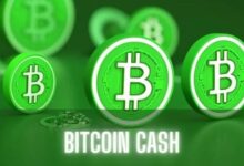 af1a459dbe8ea372dc2e Bitcoin Cash (BCH) Se Dispara un 20%: ¿Mantendrá Su Impulso? ¡Descúbrelo!