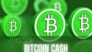 af1a459dbe8ea372dc2e Bitcoin Cash (BCH) Se Dispara un 20%: ¿Mantendrá Su Impulso? ¡Descúbrelo!