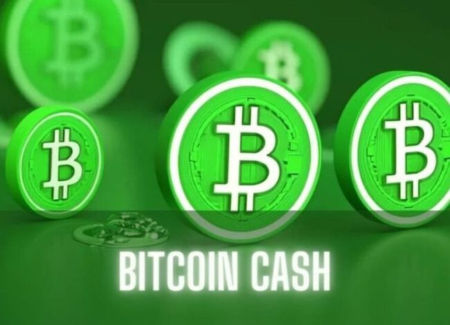 af1a459dbe8ea372dc2e Bitcoin Cash (BCH) Se Dispara un 20%: ¿Mantendrá Su Impulso? ¡Descúbrelo!