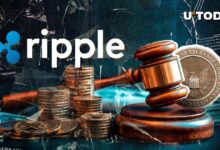 afa90c037f1454aa612b Experto de la SEC Analiza la Especulación sobre el Plazo de Apelación de la Demanda contra Ripple: ¡Descubre los Detalles!