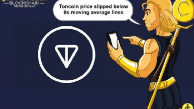 afd41482b0a1bce5bdc0 ¡Descubre la Volátil Actividad del Precio de Toncoin!