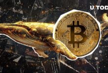 b00de14bec6208f68cb6 Ballena de la Era Satoshi Despierta con Asombroso Beneficio del 411,696% - Descubre los Detalles