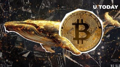 Ballena de la Era Satoshi Despierta con Asombroso Beneficio del 411,696% - Descubre los Detalles - Cripto Boom