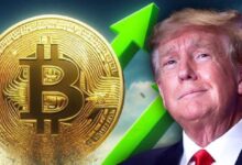 El Expresidente de EE. UU. Donald Trump Habla Sobre Bitcoin (BTC) - Descubre Más - Cripto Boom