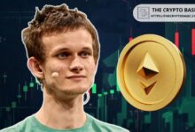 Vitalik Buterin Impulsa Nuevo Ciclo Alcista de Ethereum con Actualización de la Red: ¡Descúbrelo! - Cripto Boom