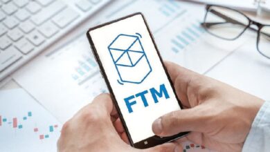 b08a12e2e2d8f1c731b6 ¿Qué sigue para el precio de Fantom (FTM) tras un salto del 1,000% en transacciones de ballenas? ¡Descúbrelo aquí!