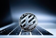 Los Inversores a Largo Plazo de Litecoin Superan a Ethereum y se Acercan a Bitcoin: Descubre el Potencial de LTC - Cripto Boom