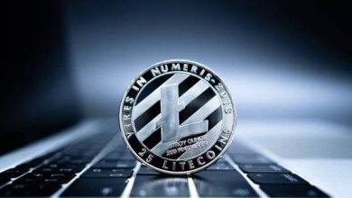 Los Inversores a Largo Plazo de Litecoin Superan a Ethereum y se Acercan a Bitcoin: Descubre el Potencial de LTC - Cripto Boom