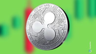 b39a13c5683bb220e50c Binance es el principal exchange para las ballenas de XRP de Ripple: Descubre por qué