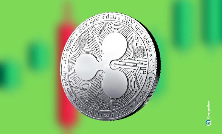 b39a13c5683bb220e50c Binance es el principal exchange para las ballenas de XRP de Ripple: Descubre por qué