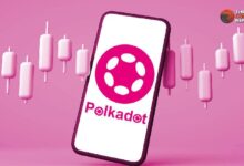 b3fa978f6e7427071344 ¿Será Polkadot (DOT) el Próximo para un Rally Parabólico? Descúbrelo Aquí