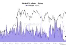 Bitcoin se Acerca a Máximos Históricos mientras Ingresos Diarios en Mesas OTC Caen a Mínimos Anuales: Descubre Más con CryptoQuant - Cripto Boom