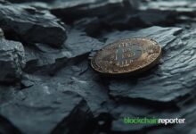 b500b4666cf0189cda0b BlackRock Aumenta su Portafolio de Bitcoin con una Nueva y Gran Adquisición: ¡Descubre los Detalles!