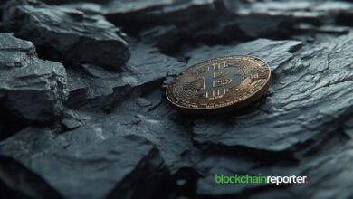 b500b4666cf0189cda0b BlackRock Aumenta su Portafolio de Bitcoin con una Nueva y Gran Adquisición: ¡Descubre los Detalles!