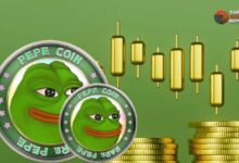 PEPE Coin, el primer meme coin en cotizar en Japón: Descubre cómo afectará al precio... - Cripto Boom