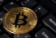 b6ff6bc342ebbd83d2e7 Empresa de Análisis: "Ha Comenzado la Fase Alcista en Bitcoin", Conozca el Precio Objetivo