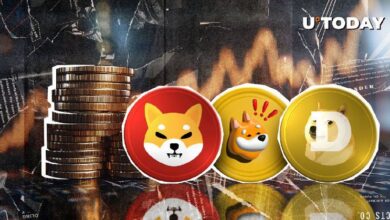 b76246149acd631c9fa5 ¡Shiba Inu, Dogecoin, Bonk y Más: Aprovéchate del Éxito de las Legendarias Meme Coins!