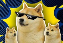 Ballena de Dogecoin Adquiere 178M DOGE, ¿Objetivo de Precio $0.2 Próximo? Descúbrelo Aquí - Cripto Boom