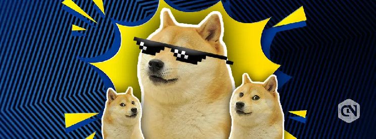 Ballena de Dogecoin Adquiere 178M DOGE, ¿Objetivo de Precio $0.2 Próximo? Descúbrelo Aquí - Cripto Boom