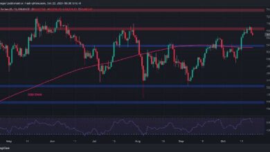 b9920fc408b927e62a11 Análisis del Precio de Bitcoin: ¿Cuáles Son las Oportunidades de BTC para un Nuevo Máximo Histórico tras el Rechazo a $69K? ¡Descúbrelo Ahora!