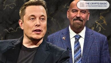 ba4e699c5fd1219deb7f Elon Musk Apoya a Abogado Pro-XRP Deaton para Desbancar a la Senadora Elizabeth Warren: Descubre Más