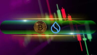 Bitcoin Rozó Nuevo Máximo Histórico por Solo $150, SUI Explota un 12% Diario - ¡Descubre Más en Market Watch! - Cripto Boom