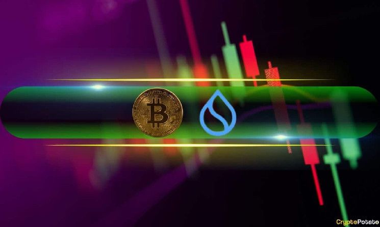 Bitcoin Rozó Nuevo Máximo Histórico por Solo $150, SUI Explota un 12% Diario - ¡Descubre Más en Market Watch! - Cripto Boom