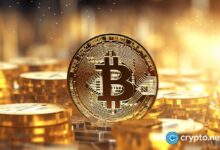 Oro vs. Bitcoin: Desafío del dinero fuerte en tiempos inciertos - Descubre quién gana - Cripto Boom