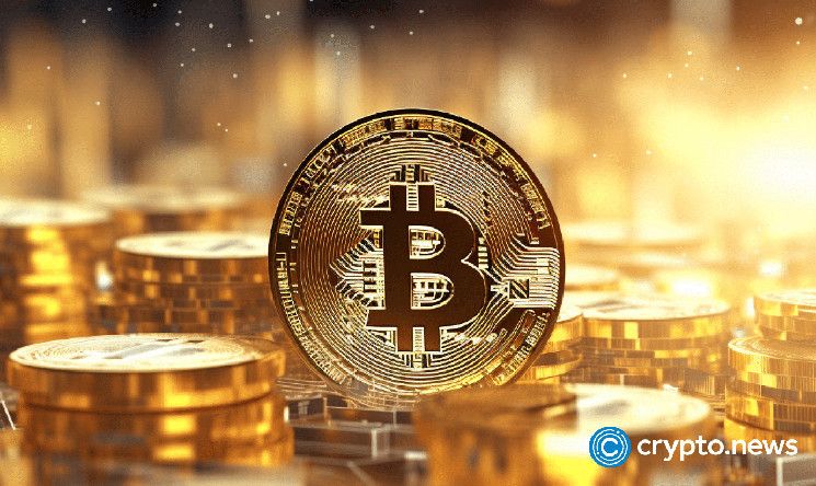 Oro vs. Bitcoin: Desafío del dinero fuerte en tiempos inciertos - Descubre quién gana - Cripto Boom