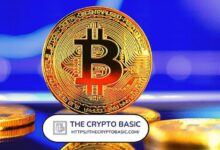 bc1a7295e6c4087b7dc5 Descubre Por Qué Bitcoin Podría No Bajar Más de Precio