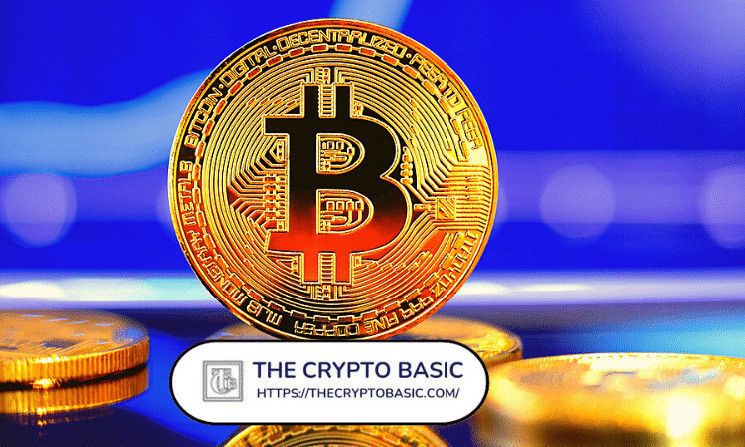 bc1a7295e6c4087b7dc5 Descubre Por Qué Bitcoin Podría No Bajar Más de Precio