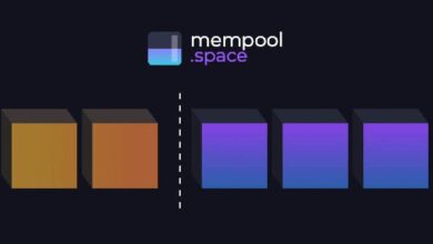 bd09ce2dec6528d1c717 El Drama del Mempool de Bitcoin: ¡Descubre Lo Que Era Predecible!