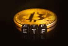 Si pudiera invertir $1,000 en cualquier ETF de Bitcoin, elegiría este: Descubre por qué - Cripto Boom