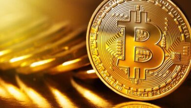 Bitcoin Recupera $66k Pero Inversores Minoristas Rezagados—¿Llega la Última Ola de FOMO? ¡Descúbrelo! - Cripto Boom