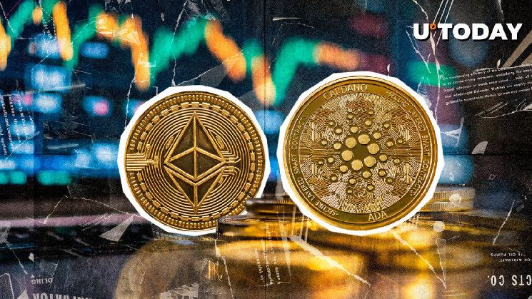 c042abed9305517da5b8 ¡Descubre cómo Cardano intensifica su rivalidad con Ethereum con su solución de capa 2!