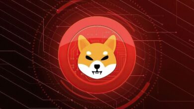 c04b13a13d780698ea50 ¿Repunte del 100% para Shiba Inu? Expertos Ven Reversión Global como Catalizador - Descubre Más