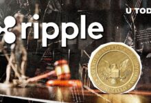 c22fb9327abe023f861d Abogado Principal de Ripple Predice el Resultado de la Apelación de la SEC: ¡Descubre el Futuro de XRP!