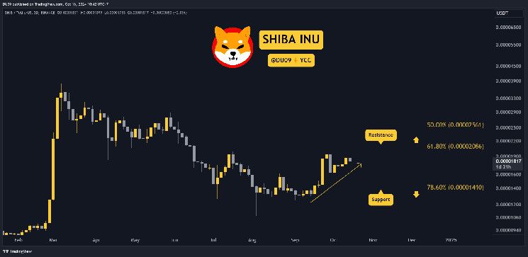 c29580f4d721ab2916a3 Predicción del Precio de Shiba Inu (SHIB) para Esta Semana: ¡Descubre los Detalles!