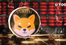 Shiba Inu (SHIB) Sale del Club de los Trillonarios: Descubre las Razones Hoy - Cripto Boom