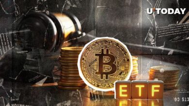 ¿Qué Sigue para los ETFs de Bitcoin? Analista Principal Opina sobre la Nueva Aprobación de la SEC - Cripto Boom