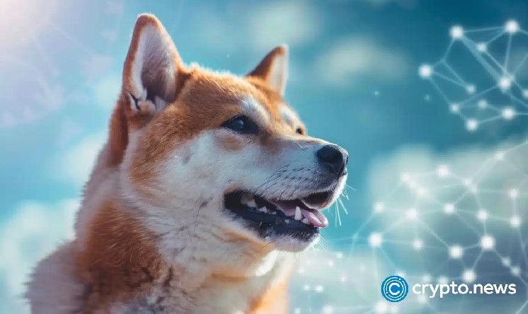 ca03ceb6d9751ebea2b9 ¡El precio de Dogecoin se dispara! Volumen e interés abierto en aumento